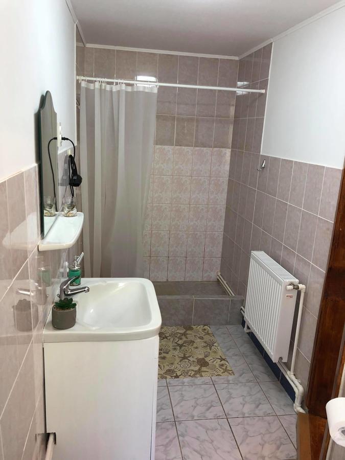 Homestay Marius Сибиу Экстерьер фото